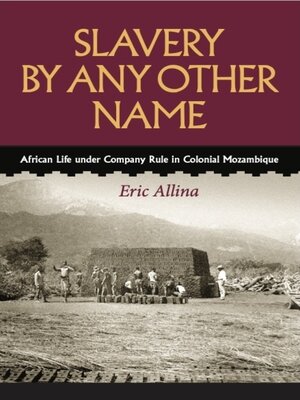 cover image of Slavery by Any Other Name